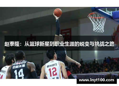 赵泰隆：从篮球新星到职业生涯的蜕变与挑战之路
